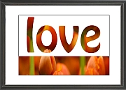 Wall_Art_Alphabet_Photography_Art_ 1356